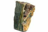 Free-Standing, Gary Green Jasper (Larsonite) Bog Wood - Oregon #334854-1